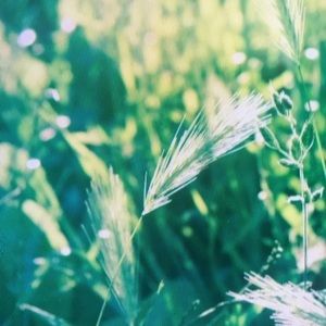 Meet your Posher, Raymond